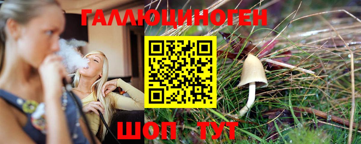 Галлюциногенные грибы Cubensis Светлоград